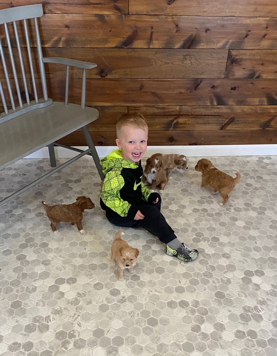 Selecing the Newest Addition to Your Family